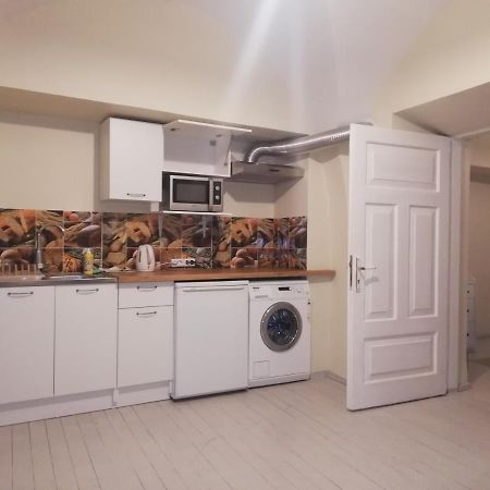 Vilnius Collegium Apartment ภายนอก รูปภาพ